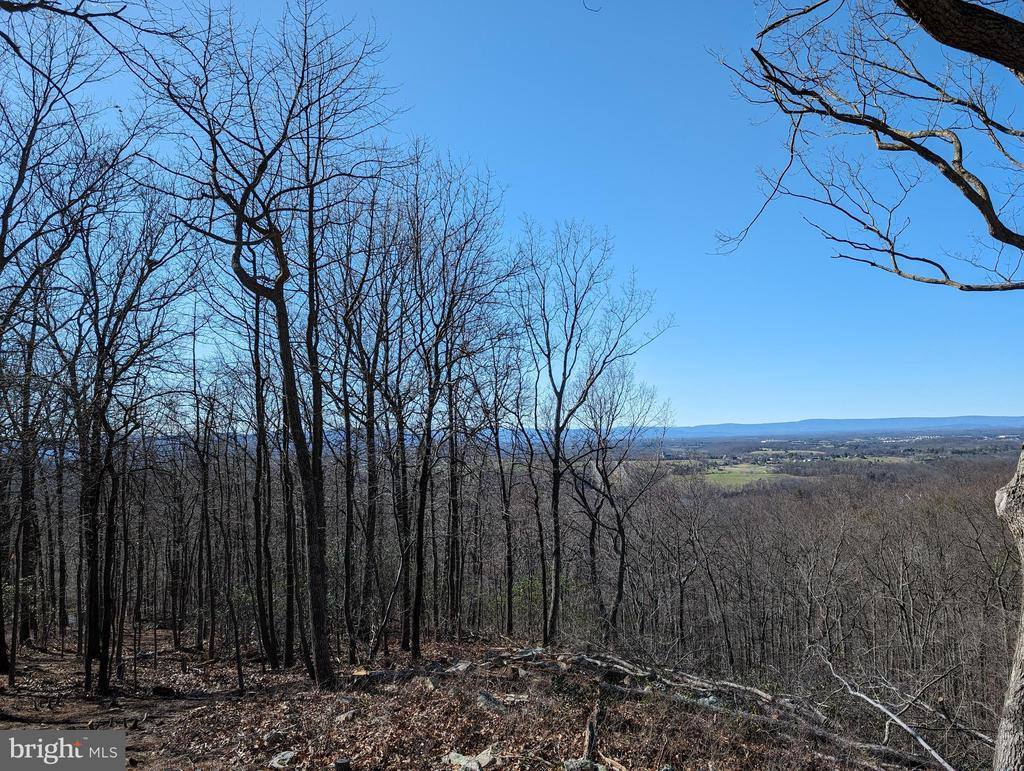 Lot 83 Baldwin Road, Front Royal, VA 22630