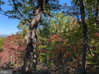 Lot 83 Baldwin Road, Front Royal, VA 22630