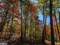 Lot 83 Baldwin Road, Front Royal, VA 22630