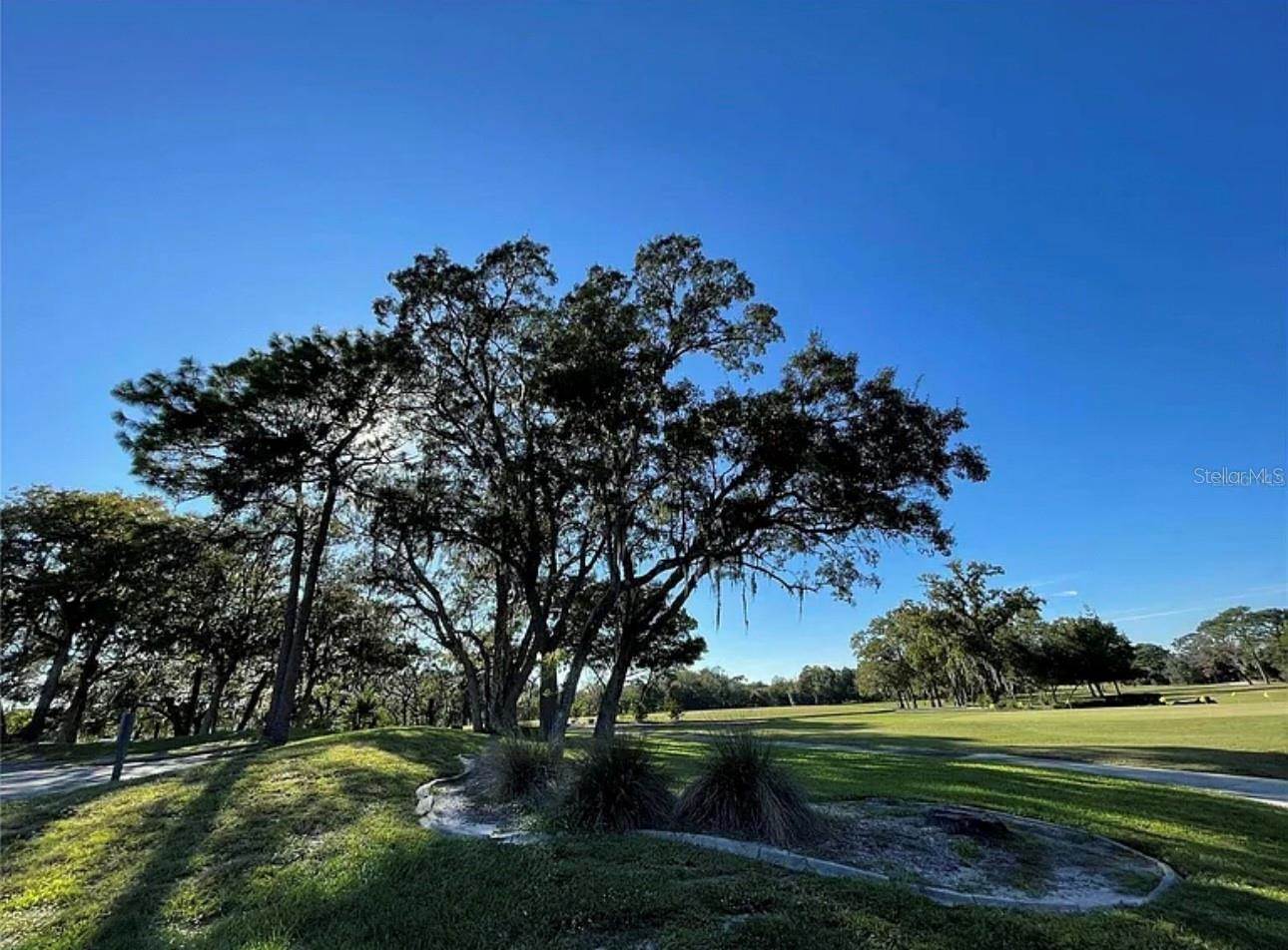 16 Mayten Court North, Homosassa, FL 34446