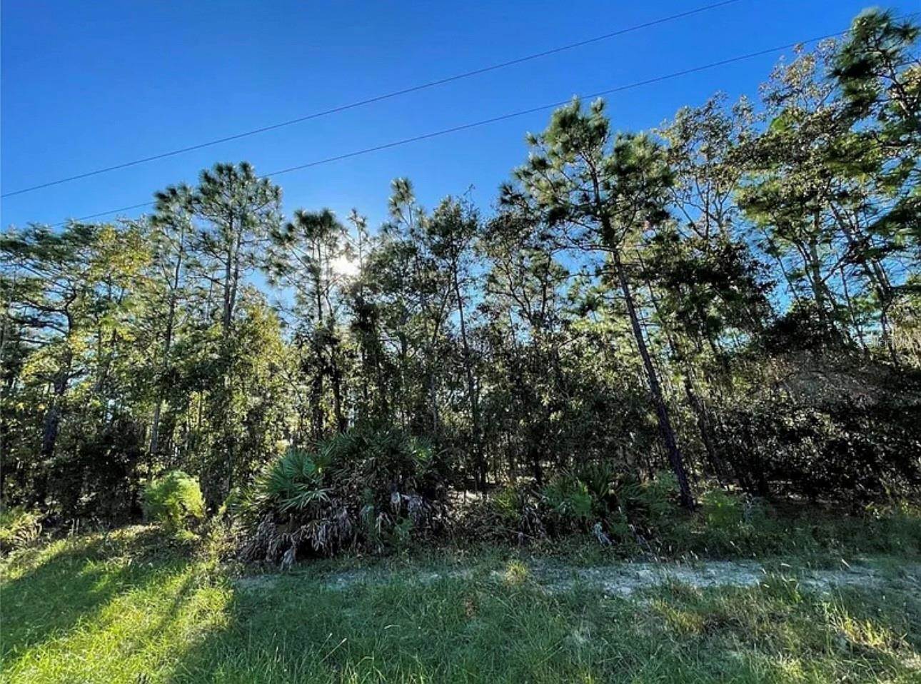 16 Mayten Court North, Homosassa, FL 34446