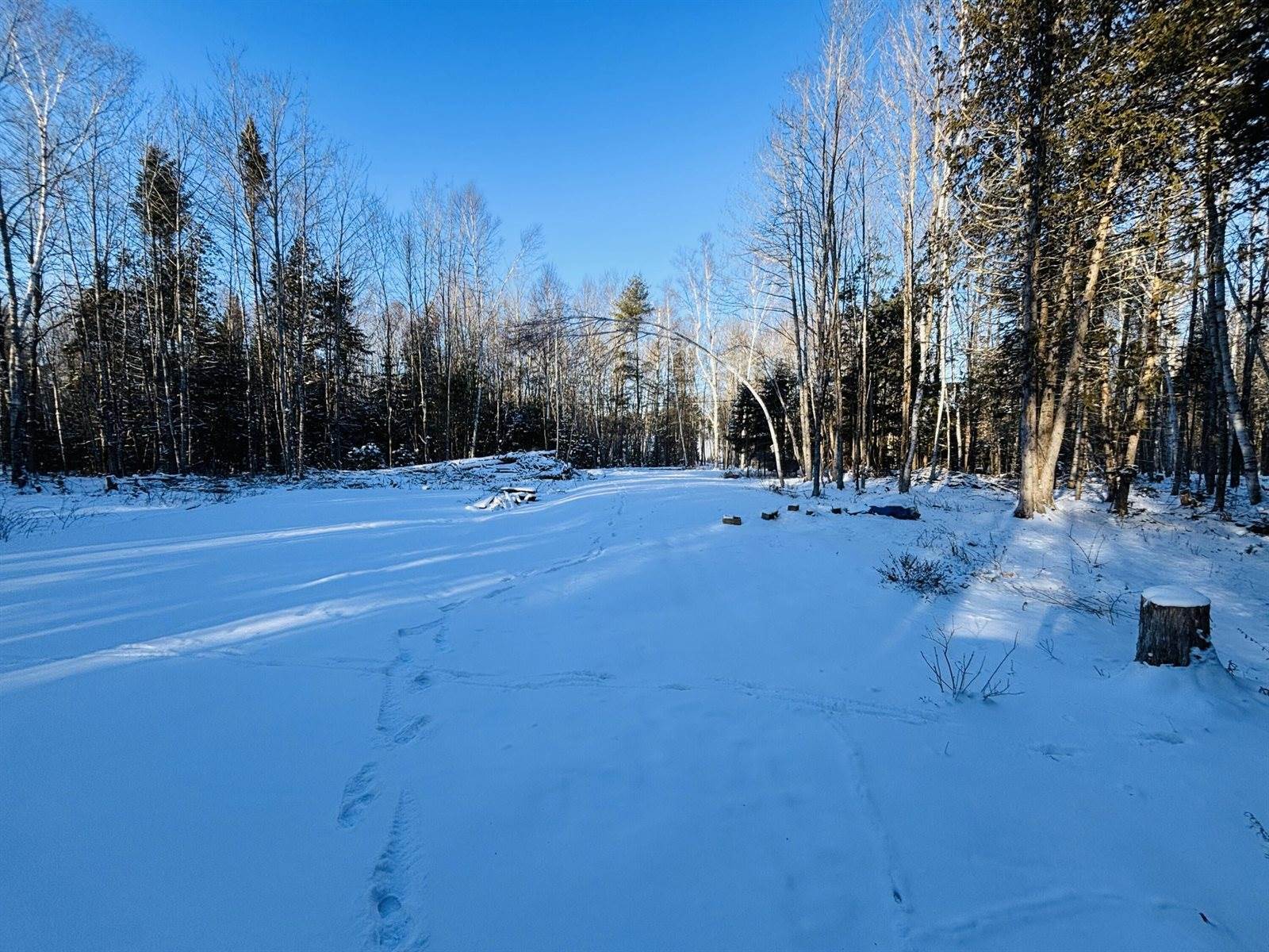 TBD Jamie Road, Newport, ME 04953