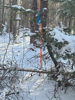 TBD Jamie Road, Newport, ME 04953