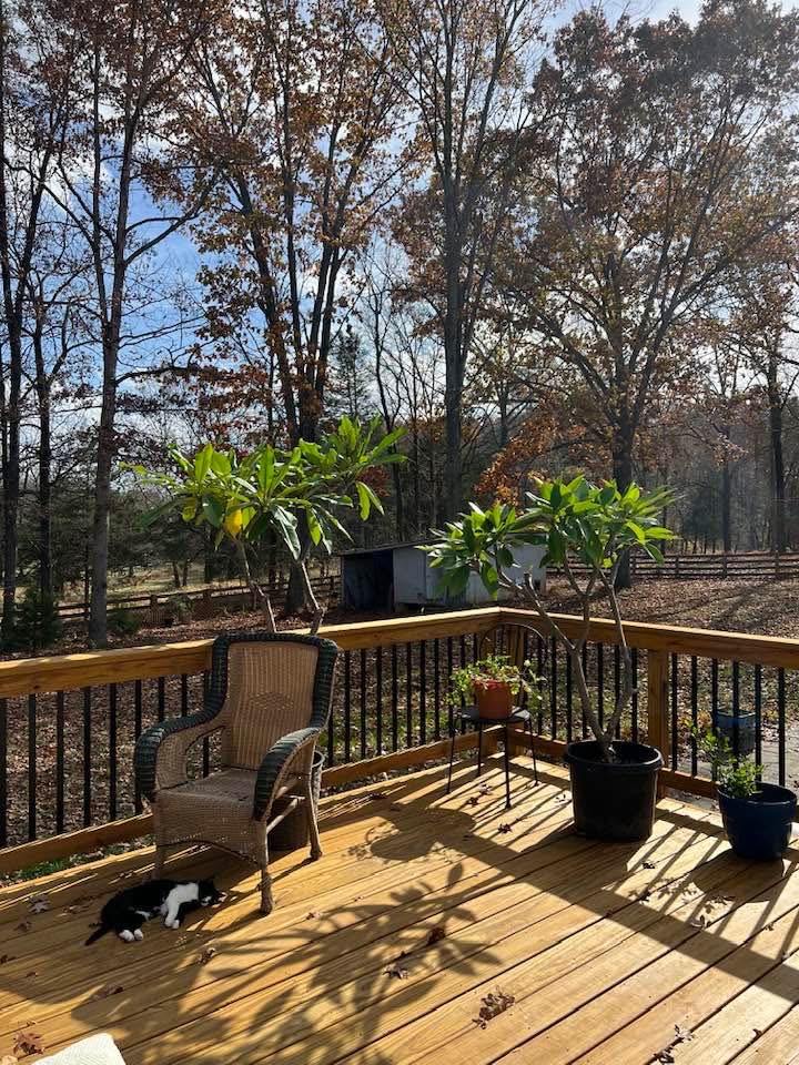 8301 Kines Rd, Warrenton, VA 20187