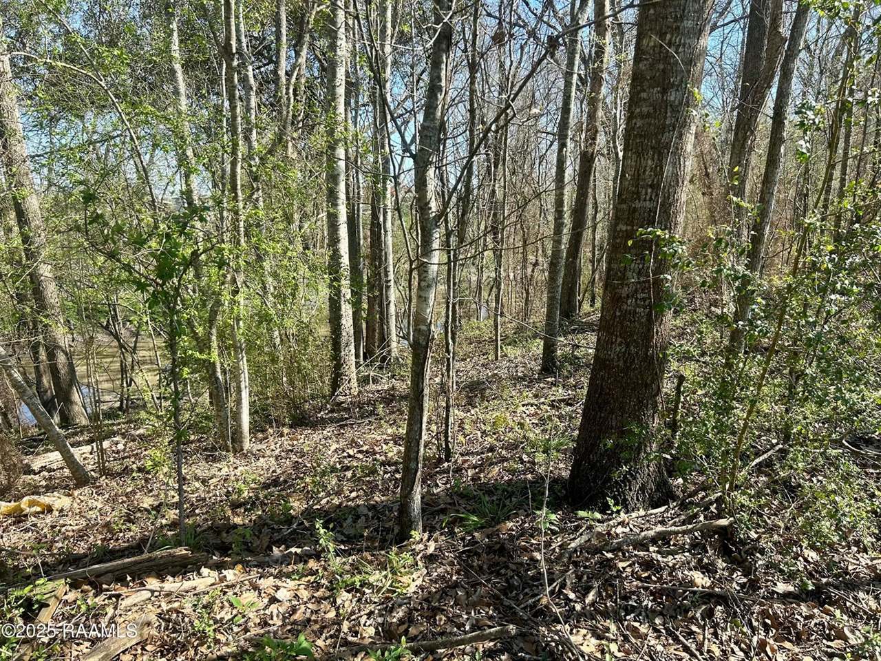 1132 Ray Lane, Breaux Bridge, LA 70517