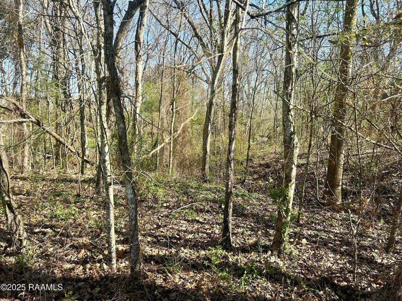 1132 Ray Lane, Breaux Bridge, LA 70517