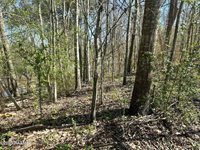 1132 Ray Lane, Breaux Bridge, LA 70517