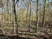 1132 Ray Lane, Breaux Bridge, LA 70517