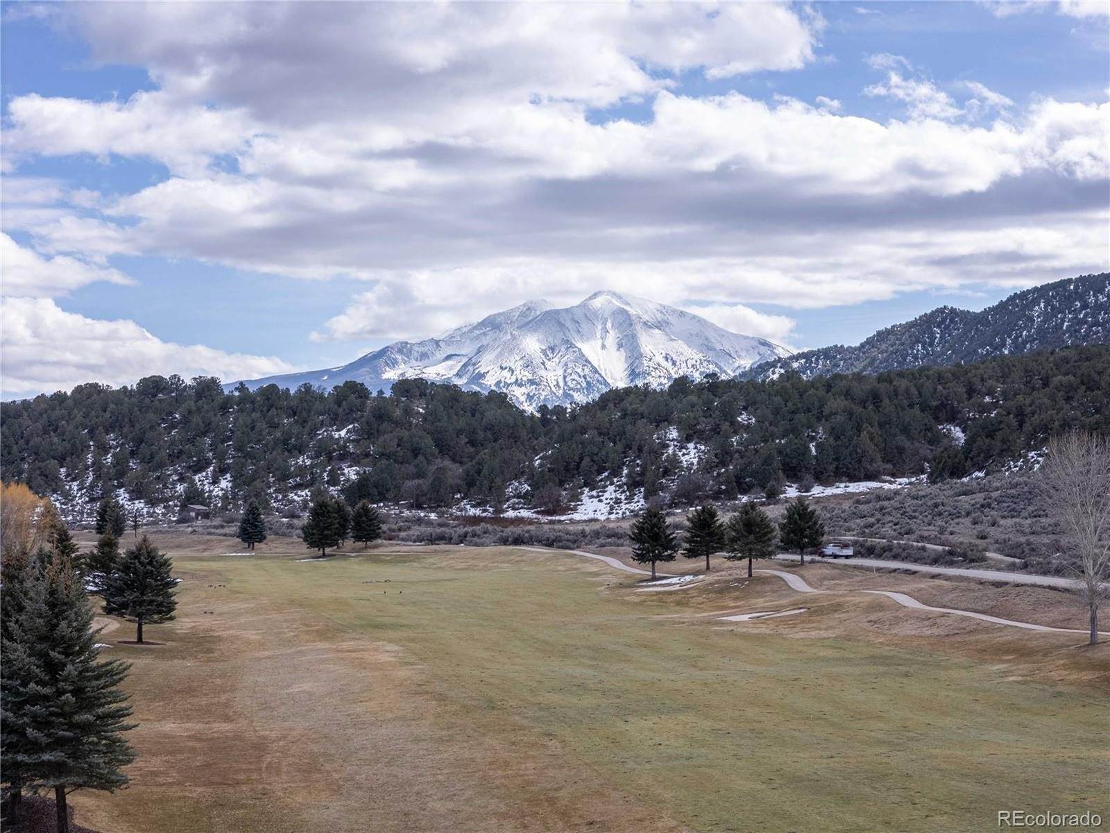 29 Sages Ct, Carbondale, CO 81623