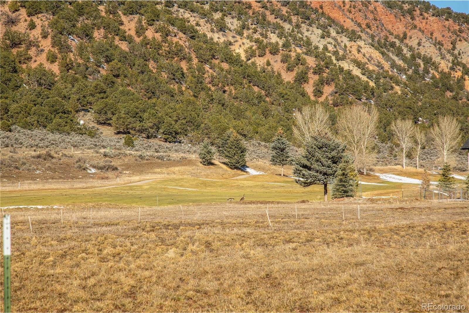 29 Sages Ct, Carbondale, CO 81623