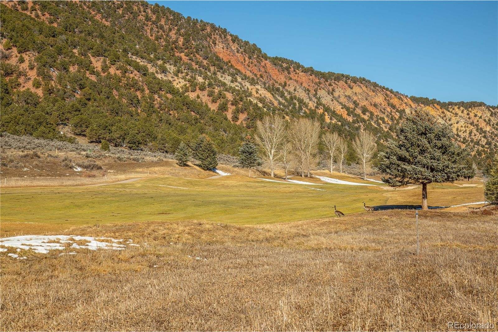 29 Sages Ct, Carbondale, CO 81623