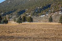 29 Sages Ct, Carbondale, CO 81623