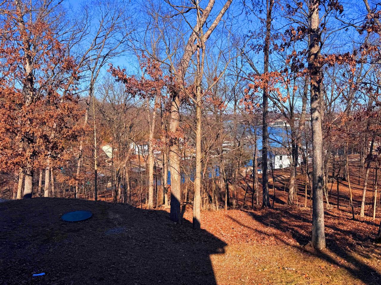 217 Highline Rd, Four Seasons, MO 65049