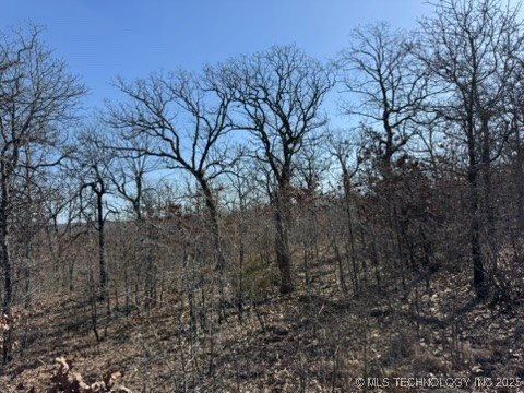 8541 Oak Ridge Road, Stuart, OK 74570