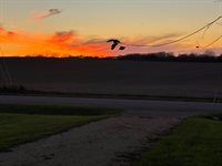 2077 Browns Mill Road, Freeport, IL 61032