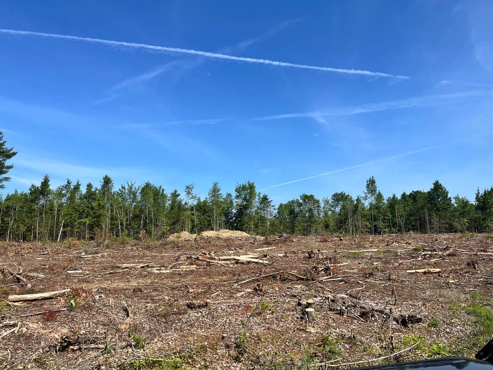 Lot 2-2 Merrill Road, Levant, ME 04456