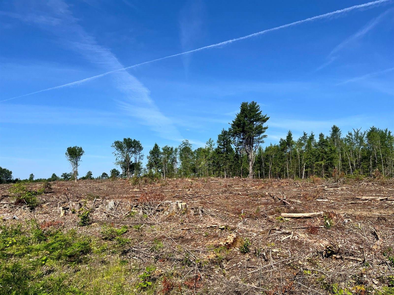 Lot 2-2 Merrill Road, Levant, ME 04456