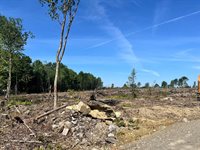 Lot 2-2 Merrill Road, Levant, ME 04456