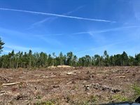 Lot 2-2 Merrill Road, Levant, ME 04456