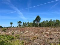 Lot 2-2 Merrill Road, Levant, ME 04456