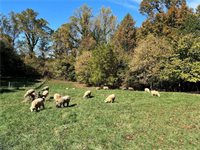 675 Inland Drive, Kernersville, NC 27284