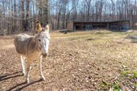 675 Inland Drive, Kernersville, NC 27284