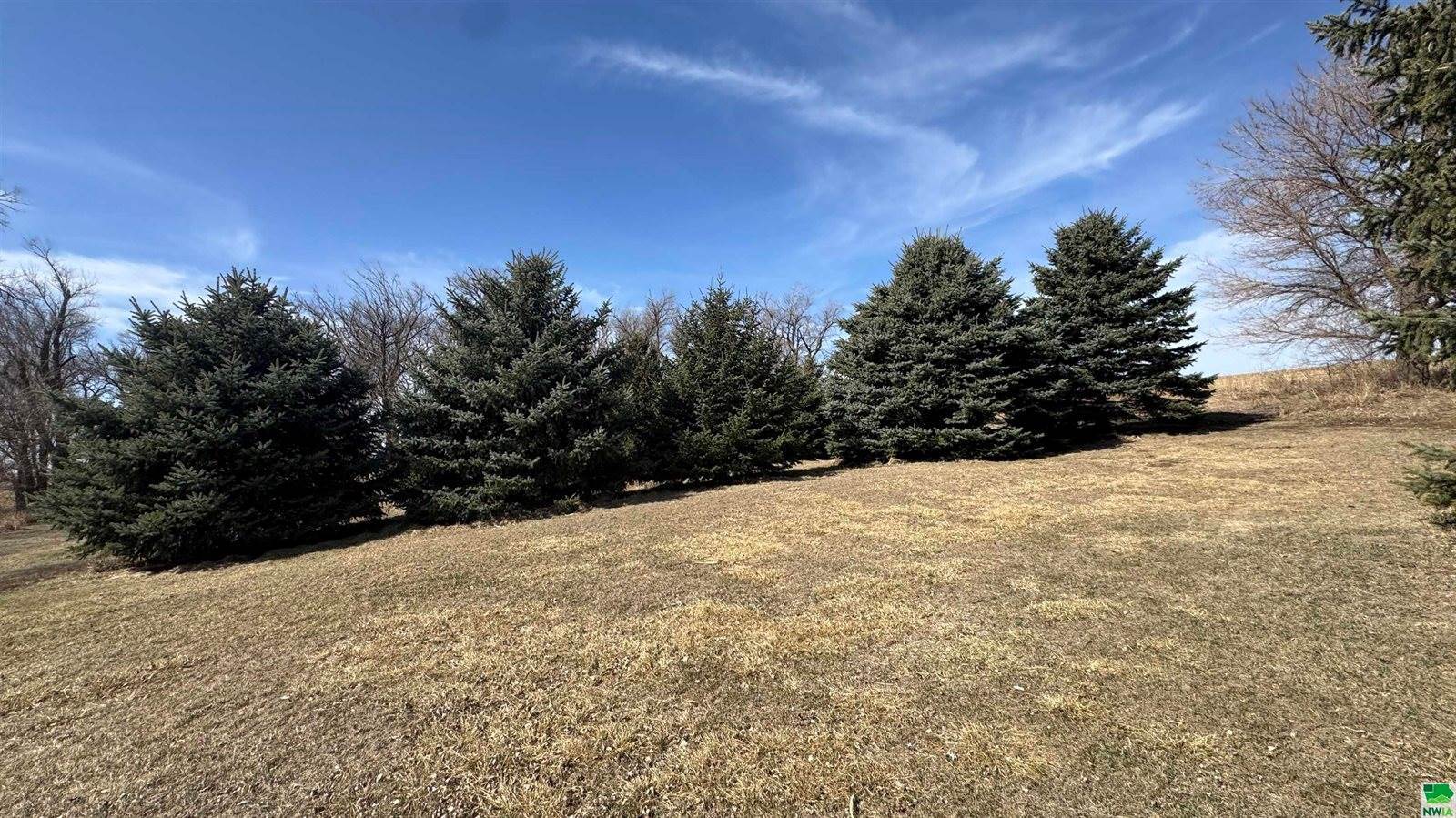 1661 Hancock Ave, Moville, IA 51039