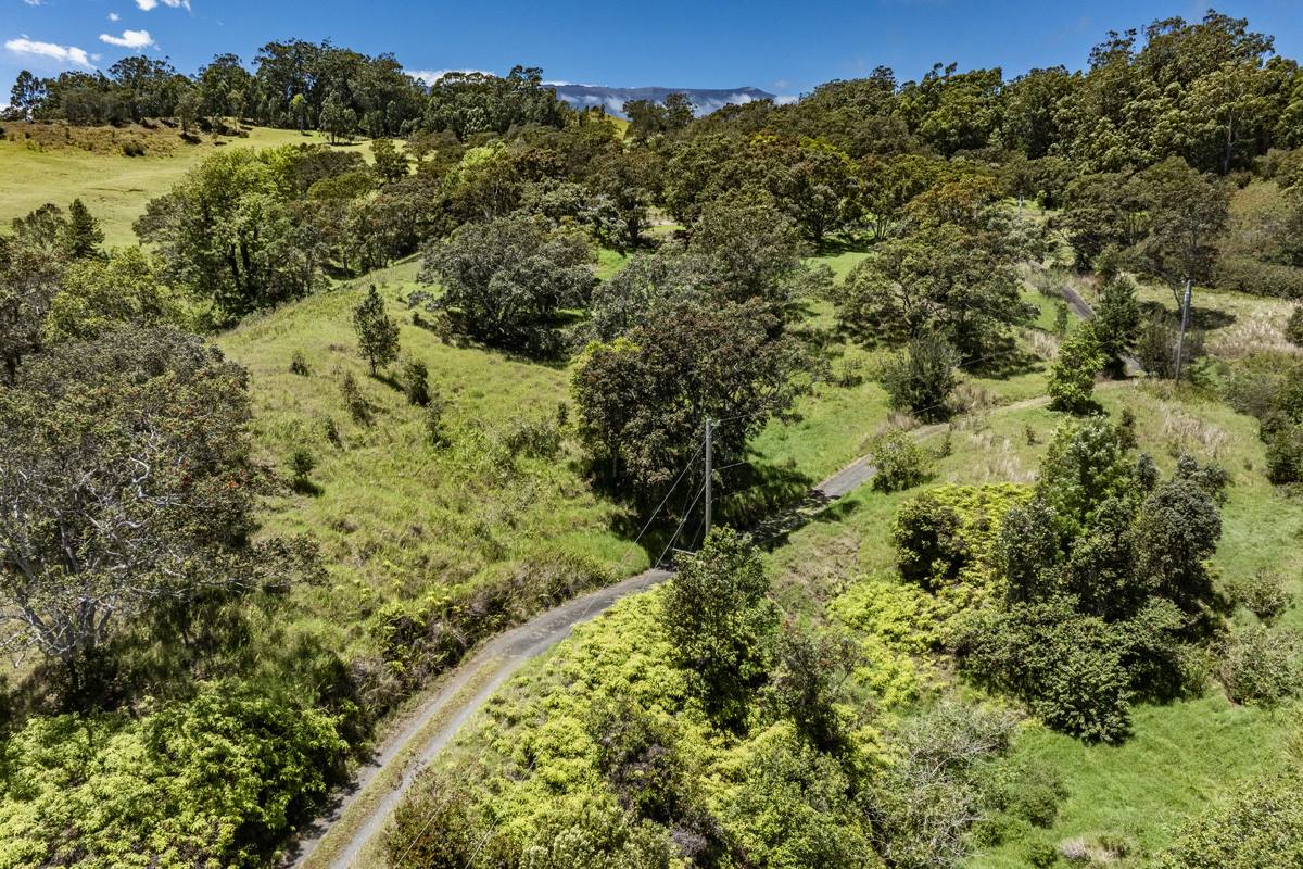 44-3791 Kukuipapa Rd, Honokaa, HI 96727