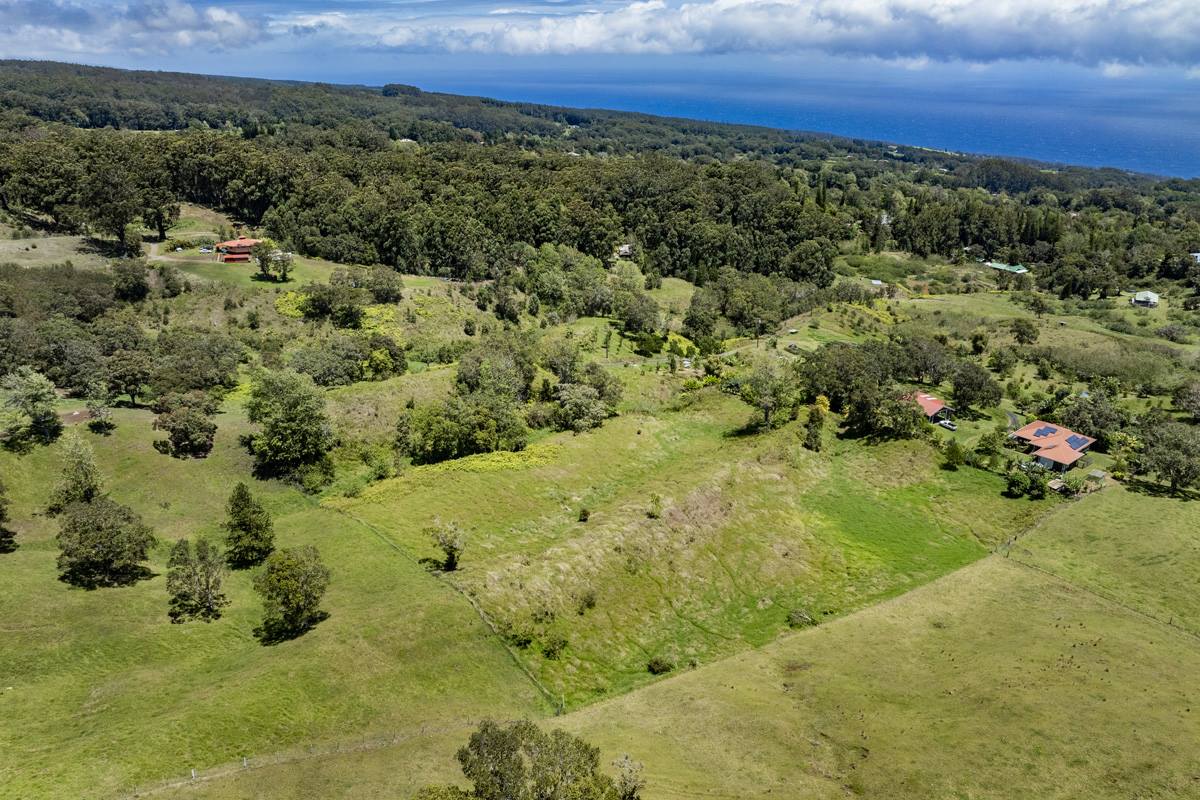 44-3791 Kukuipapa Rd, Honokaa, HI 96727