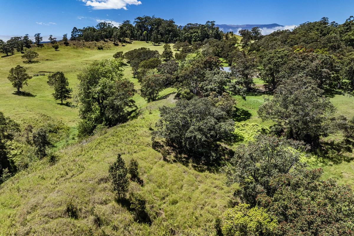 44-3791 Kukuipapa Rd, Honokaa, HI 96727