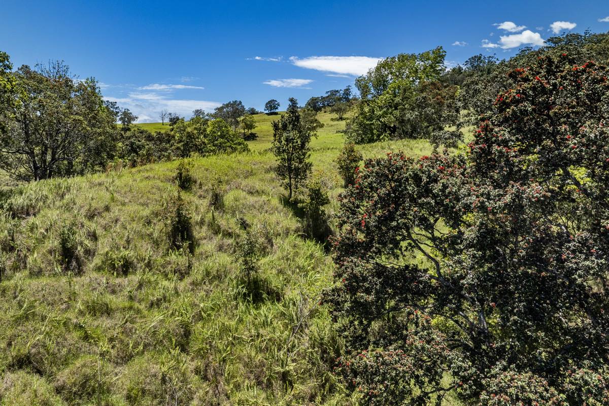 44-3791 Kukuipapa Rd, Honokaa, HI 96727