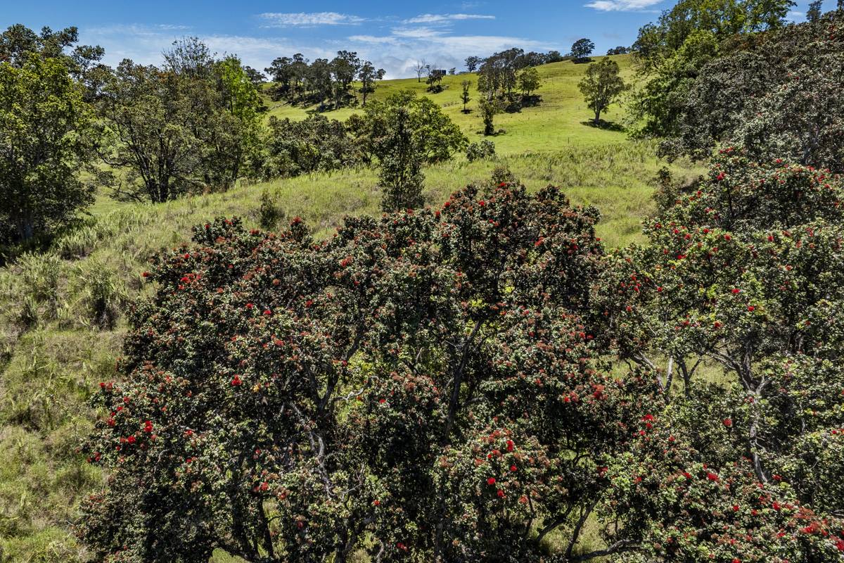 44-3791 Kukuipapa Rd, Honokaa, HI 96727