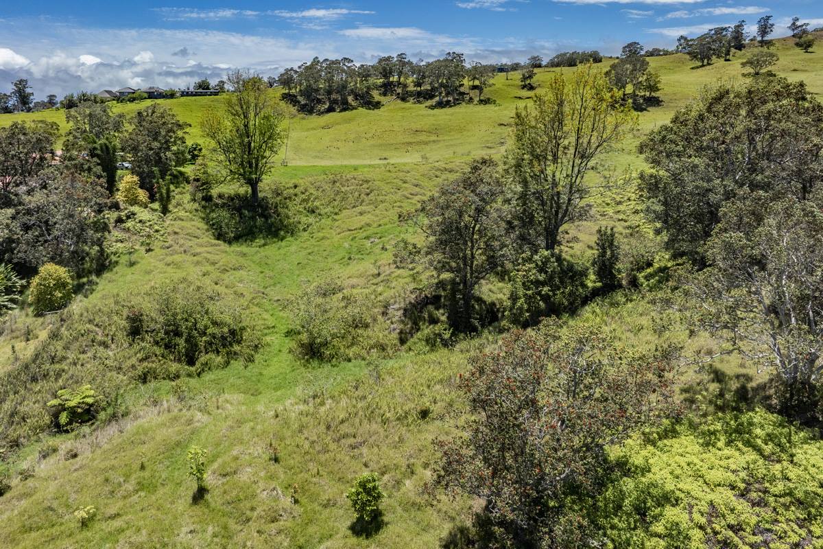 44-3791 Kukuipapa Rd, Honokaa, HI 96727