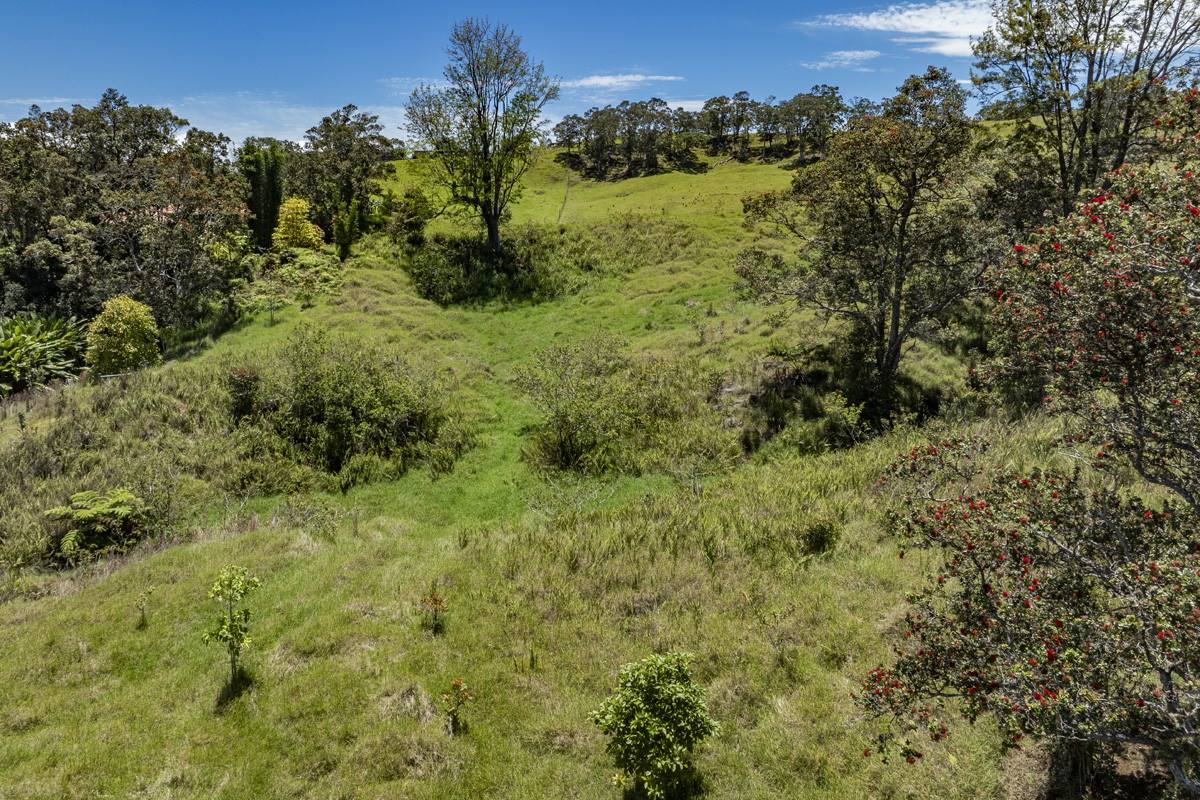 44-3791 Kukuipapa Rd, Honokaa, HI 96727