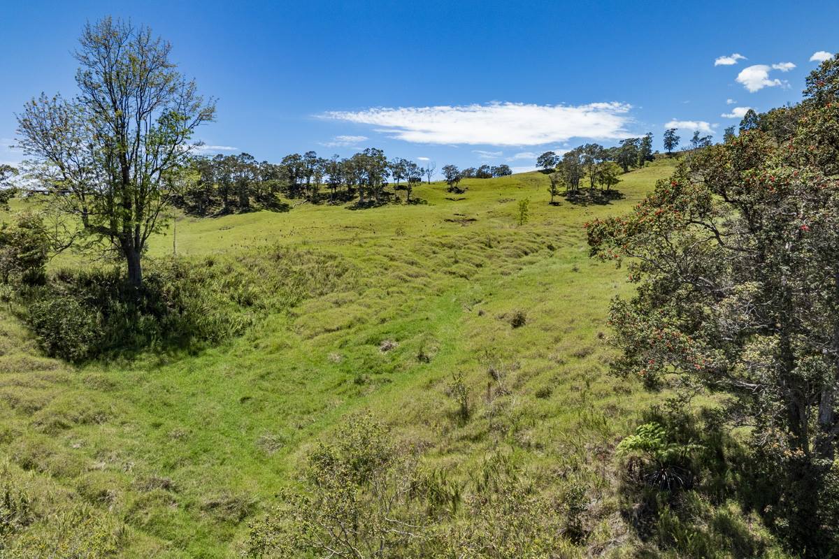 44-3791 Kukuipapa Rd, Honokaa, HI 96727