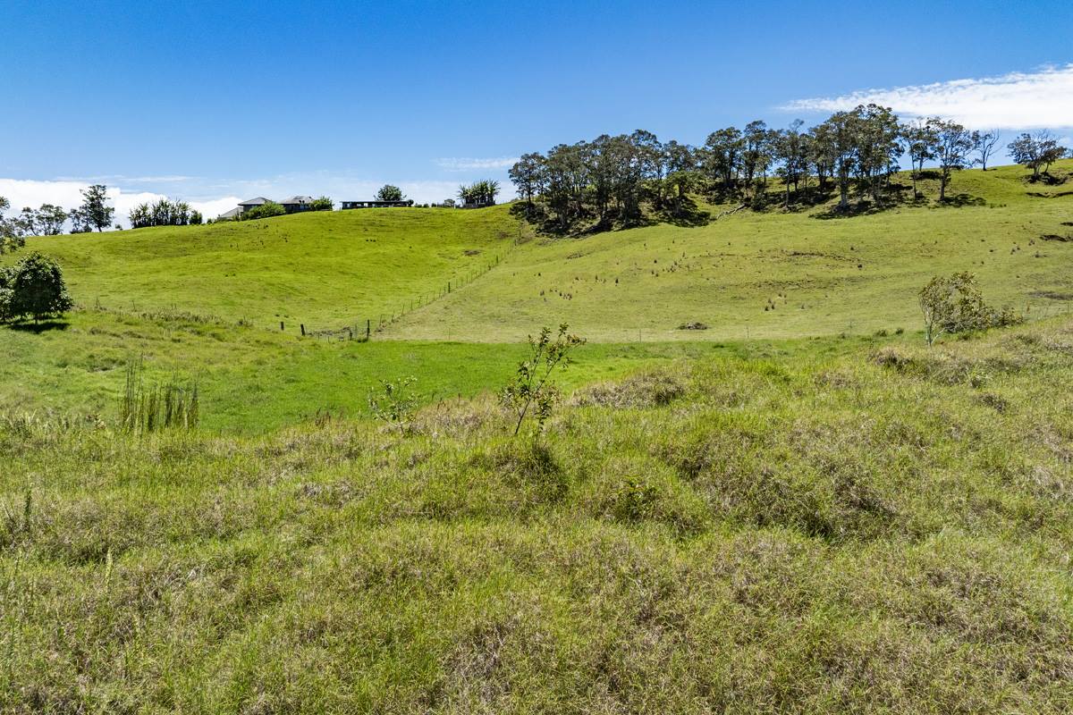 44-3791 Kukuipapa Rd, Honokaa, HI 96727