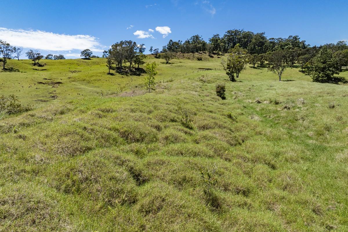 44-3791 Kukuipapa Rd, Honokaa, HI 96727