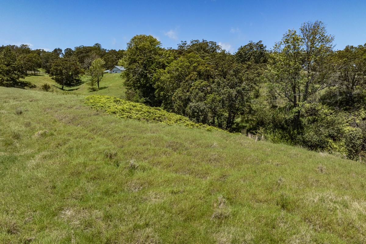 44-3791 Kukuipapa Rd, Honokaa, HI 96727