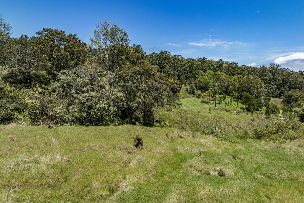 44-3791 Kukuipapa Rd, Honokaa, HI 96727