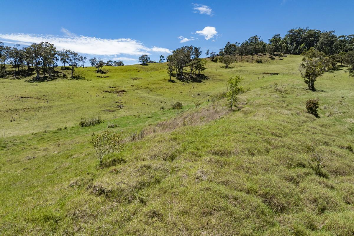 44-3791 Kukuipapa Rd, Honokaa, HI 96727