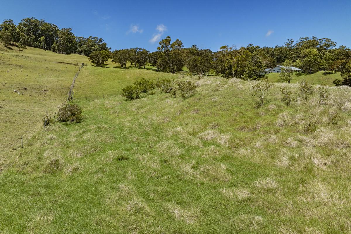 44-3791 Kukuipapa Rd, Honokaa, HI 96727