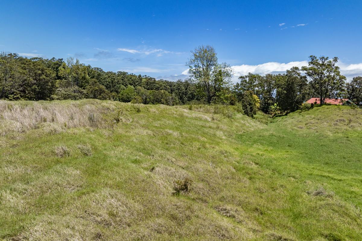 44-3791 Kukuipapa Rd, Honokaa, HI 96727