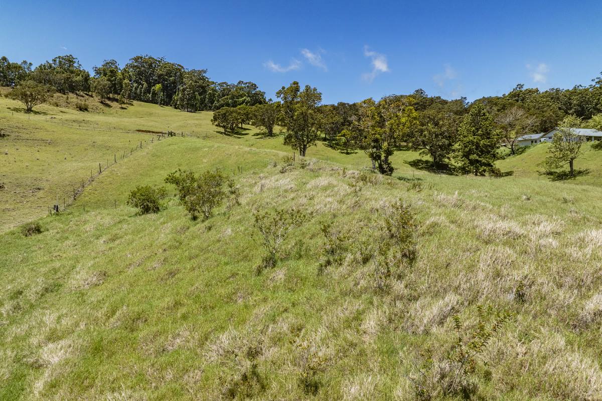 44-3791 Kukuipapa Rd, Honokaa, HI 96727