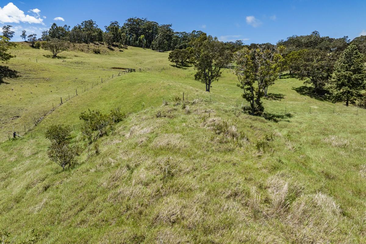 44-3791 Kukuipapa Rd, Honokaa, HI 96727