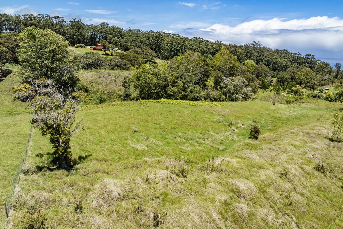 44-3791 Kukuipapa Rd, Honokaa, HI 96727