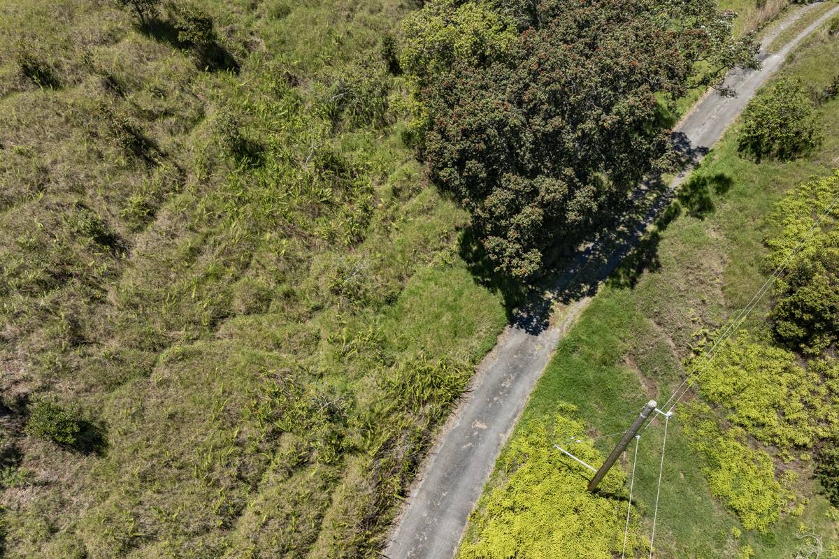 44-3791 Kukuipapa Rd, Honokaa, HI 96727