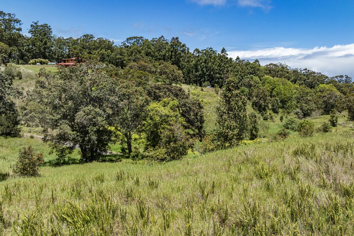 44-3791 Kukuipapa Rd, Honokaa, HI 96727