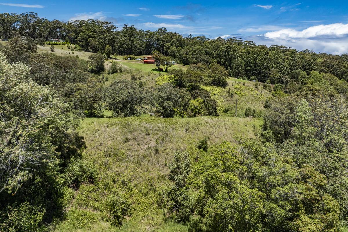 44-3791 Kukuipapa Rd, Honokaa, HI 96727
