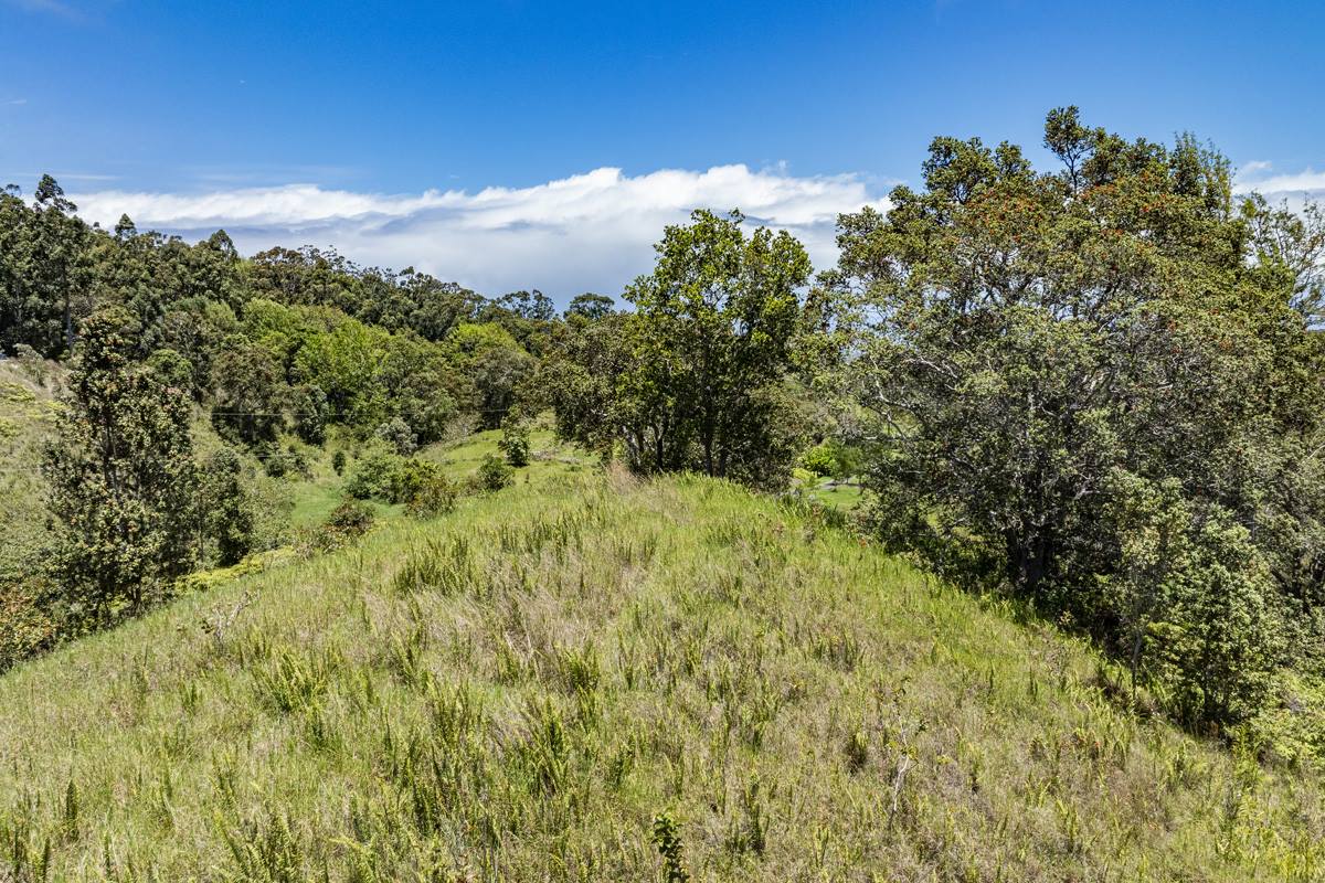 44-3791 Kukuipapa Rd, Honokaa, HI 96727