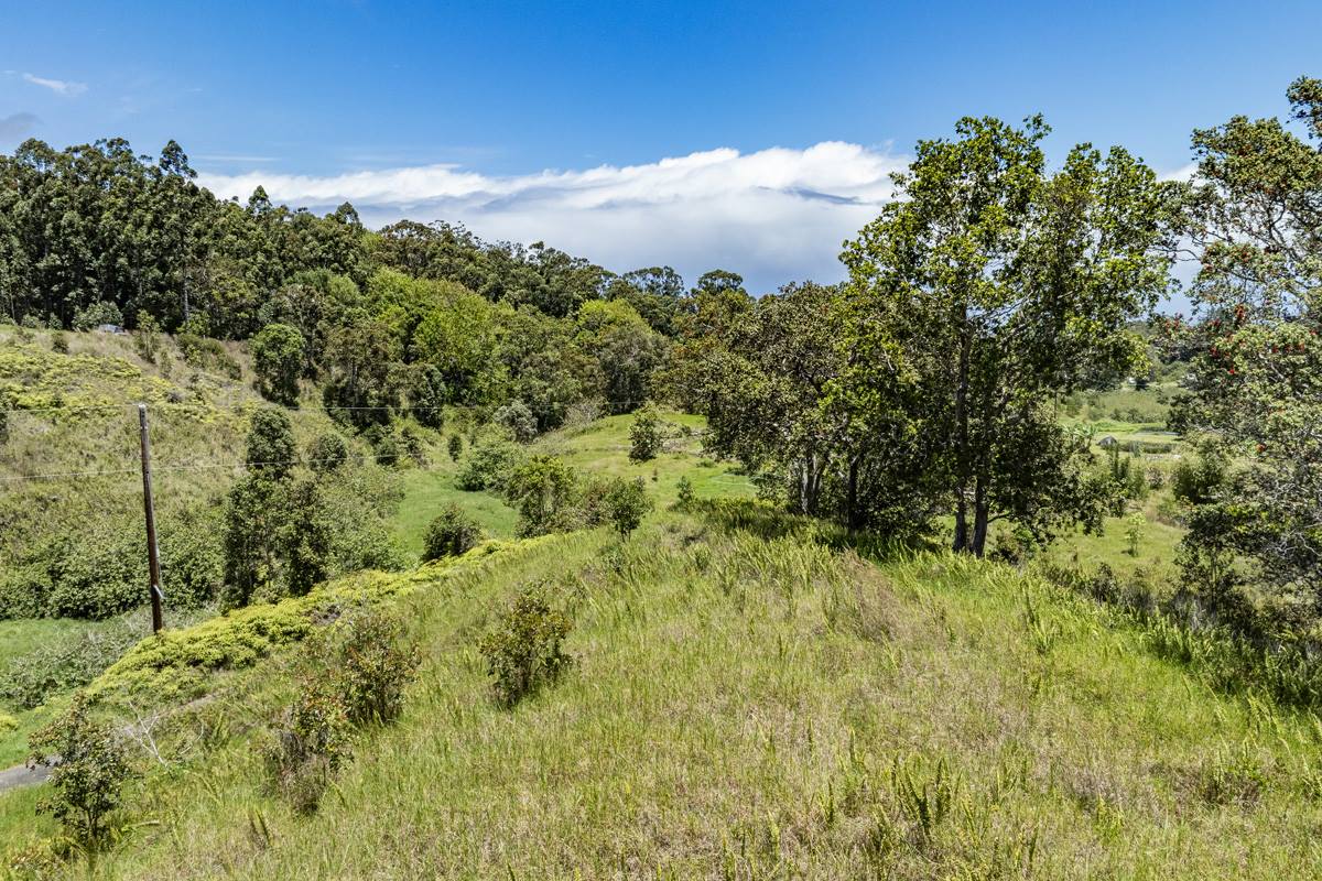44-3791 Kukuipapa Rd, Honokaa, HI 96727